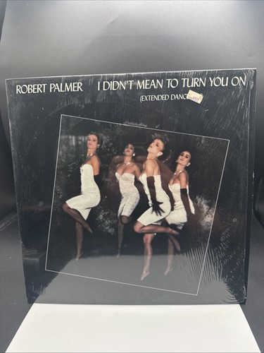 Robert palmer didn mean - didn’t,