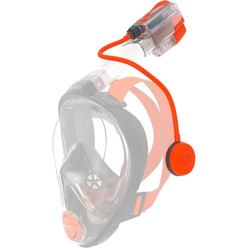 Scatola aperta ocean - ocean, reef