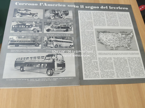1952 greyhound lines bus - 1952,