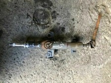 PIANTONE CANNA STERZO