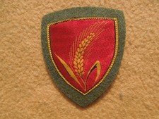 Fregio scudetto omerale - fregio,