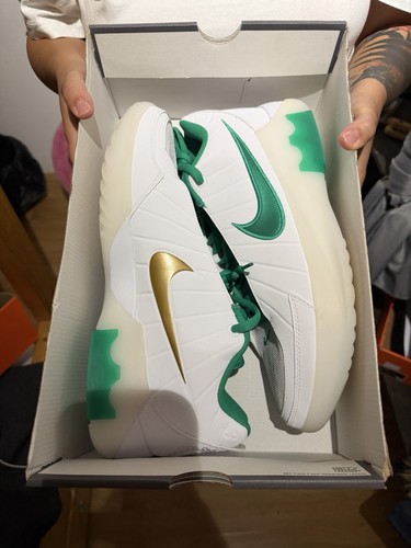 Nike lebron witness scarpe - lebron, ix