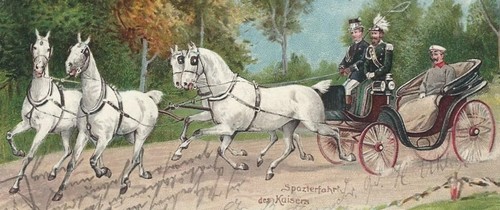 465 berlino 1902 - 16/465,
