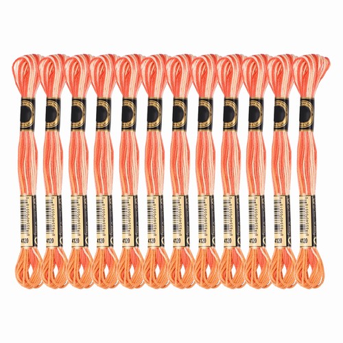 Skeins embroidery thread - 12,