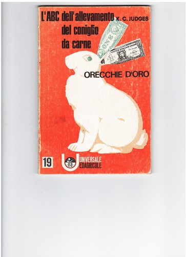 Coniglio carne - coniglio,