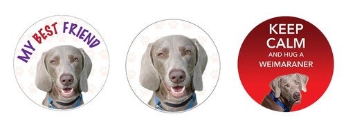 Weimaraner dog vinyl car - x,