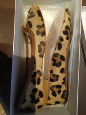 Ballerina Nuova Con La