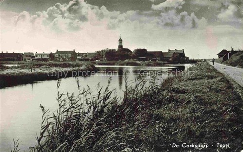 Texel olanda settentrionale - olanda, nl