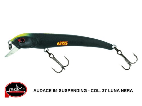 Molix audace 65sp suspending - molix,