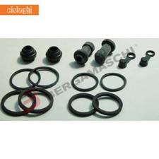 Kit revisione 2 pinze freno