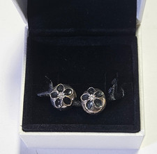 (COPPIA) Pandora Mystic