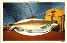 Cartolina Maine Lago Trota Pesca Palo Rete Cesto Pesci