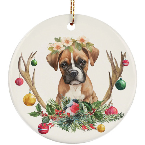 Boxer cucciolo cane - cucciolo,
