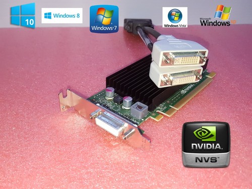 Scheda video dvi doppio - video,