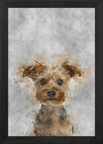 Yorkshire terrier cucciolo - yorkshire,