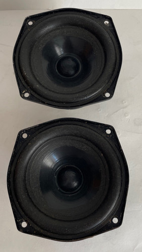 Coppia driver altoparlanti
