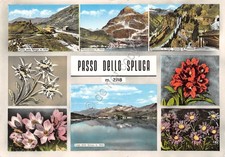 Cartolina Passo dello Spluga 8