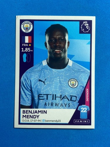 Panini sticker premier league - premier,