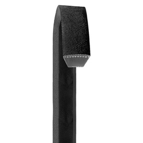 Dayco cinghia trapezoidale