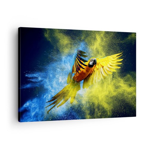 Quadro tela 70x50cm - quadro,