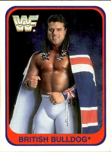 Card wwf wrestling merlin - card,