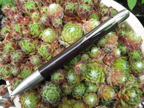 Superbe stylo bille - bille, parker