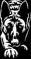 Adesivo MALINOIS - adesivo