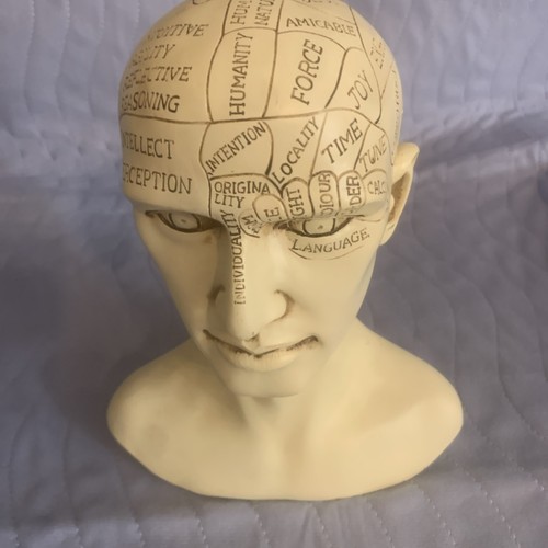 Busto teschio testa umana