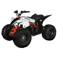 Mini Quad E-ATV Kayo EA110