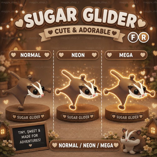 Sugar glider - glider, fr