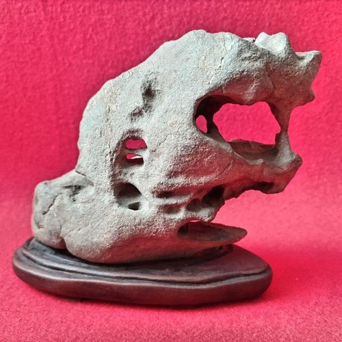 Bonsai roccia vista - bonsai, di