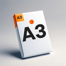 Risma Fogli Carta A3 Multiuso