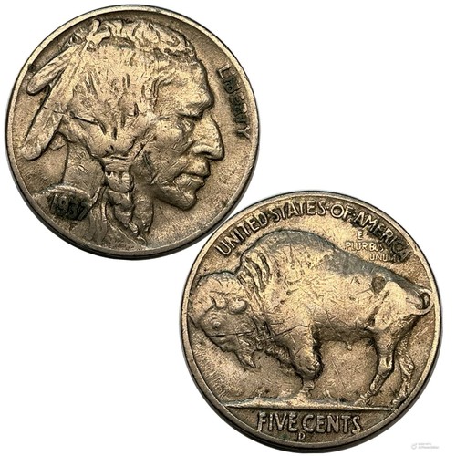 1937 gambe 5c bufalo - 3,