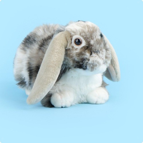 Peluche con orecchie - orecchie, cadenti