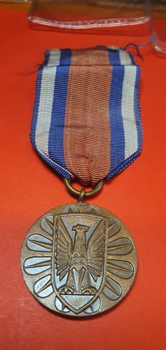 N736 polonia medaglia - n736,