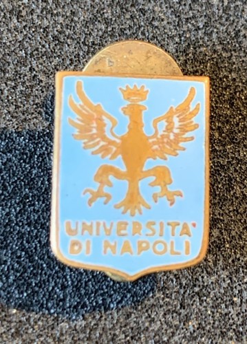 Napoli distintivo universita - distintivo, universita'