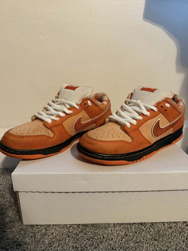 Nike dunk low concepts - low, sb