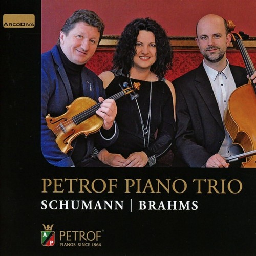 Petrof piano trio - piano,