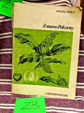 Arturo Ceruti IL NUOVO POKORNY