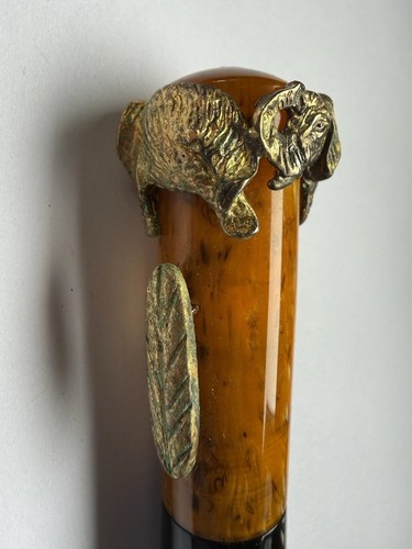 Delta animals collection - collection, penna