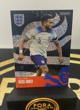 Panini The Best of England