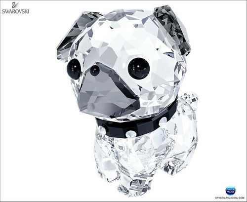 Swarovski 2015 roxy - swarovski, puppy