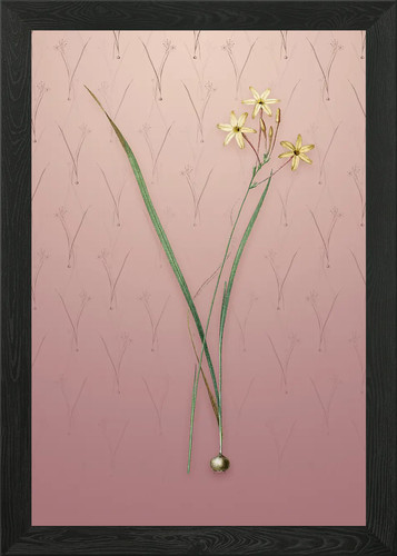 Quadro stampa tela poster - quadro,