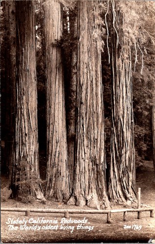 Cartolina stately california - cartolina,