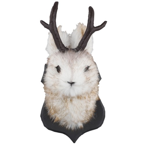 Regalo pasqua teste di - di,