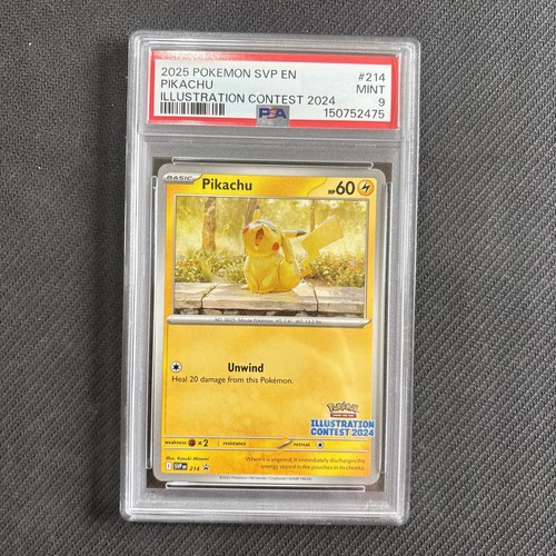 Pikachu svp214 illustration - svp214,