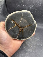 Minerali septaria - minerali,