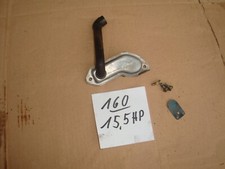 Rasaerba rasaerba Briggs &