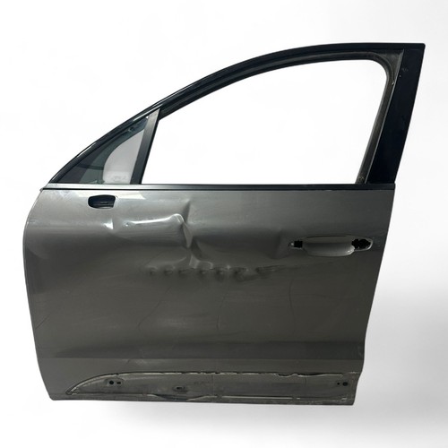 Porta anteriore sinistra - porta,