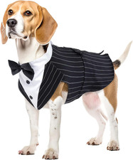 Smoking Cani, Vestito